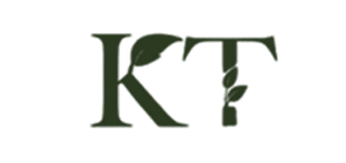 kt logo